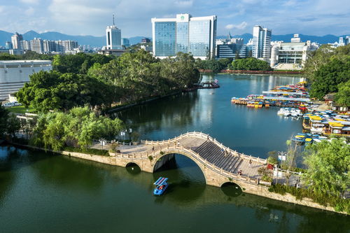 榕城福州 讓森林走進城市 用綠色擁抱世遺