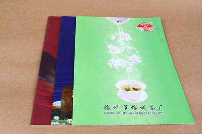 宣傳品設(shè)計(jì)-宣傳畫冊(cè) 產(chǎn)品畫冊(cè) 企業(yè)畫冊(cè) A416P 500本 公司畫冊(cè) 宣傳冊(cè).