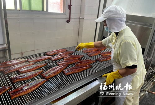 長樂全力打造“海上糧倉” 研發水產品預制菜，提升福州海蚌產業影響力